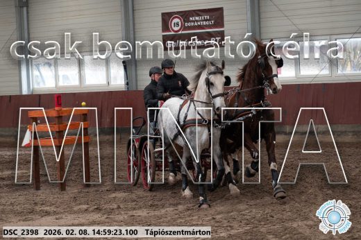 Mintakép 20260208-413