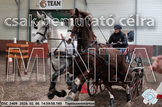 Mintakép 20260208-424