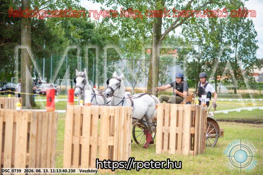 Mintakép 20260613-567