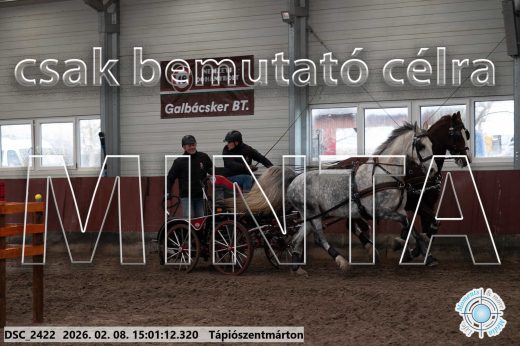 Mintakép 20260208-436