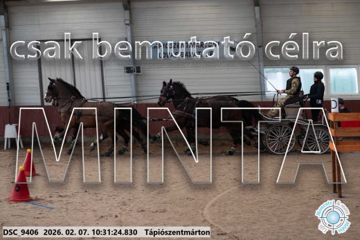 Mintakép 20260207-314