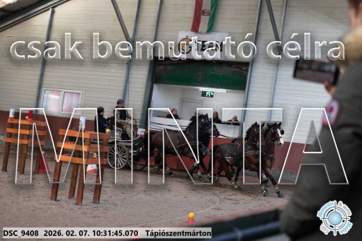Mintakép 20260207-316