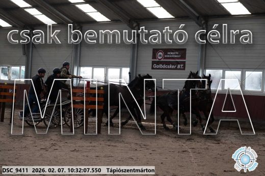 Mintakép 20260207-319