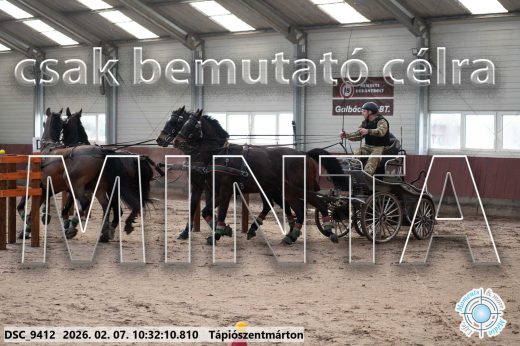 Mintakép 20260207-320