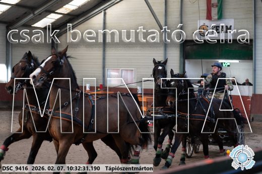 Mintakép 20260207-324