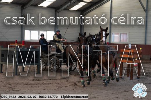 Mintakép 20260207-330