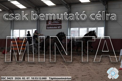 Mintakép 20260207-332