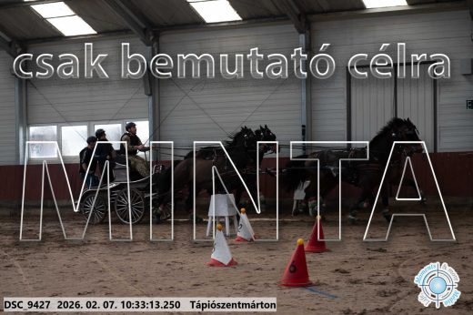 Mintakép 20260207-334