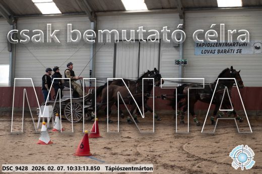 Mintakép 20260207-335