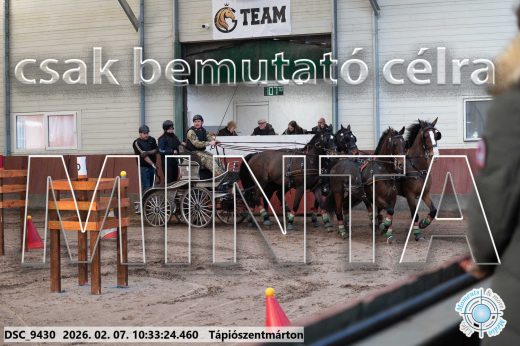 Mintakép 20260207-337