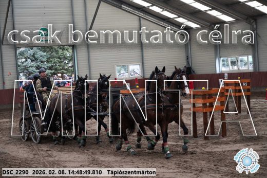 Mintakép 20260208-439
