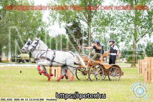 Mintakép 20260613-571
