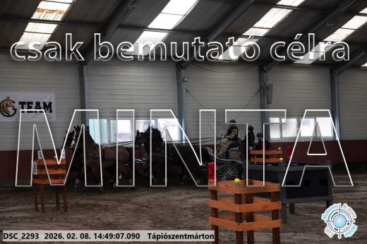 Mintakép 20260208-442