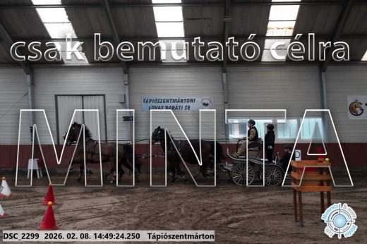 Mintakép 20260208-447