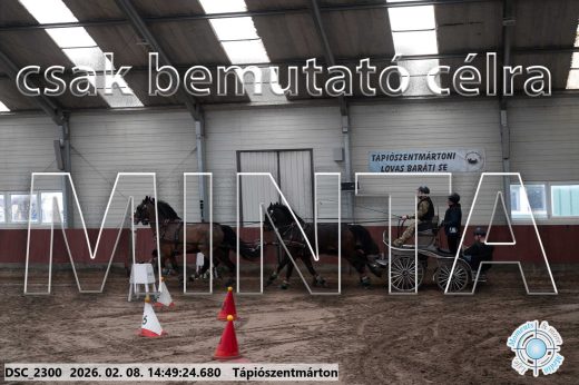 Mintakép 20260208-448