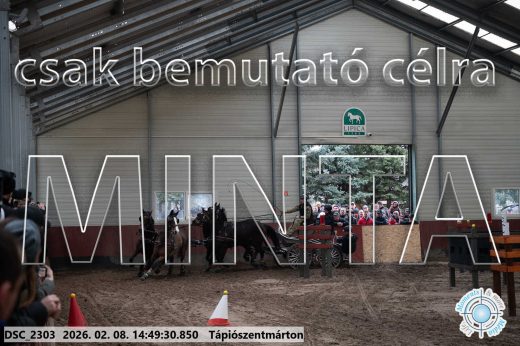 Mintakép 20260208-451
