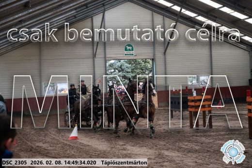 Mintakép 20260208-453