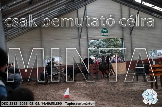 Mintakép 20260208-460