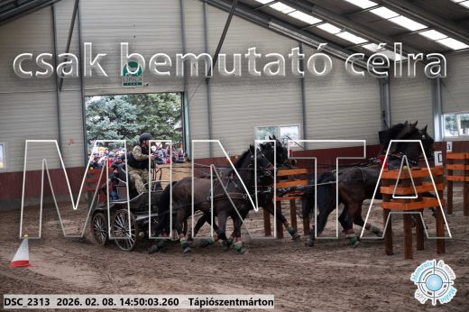 Mintakép 20260208-461