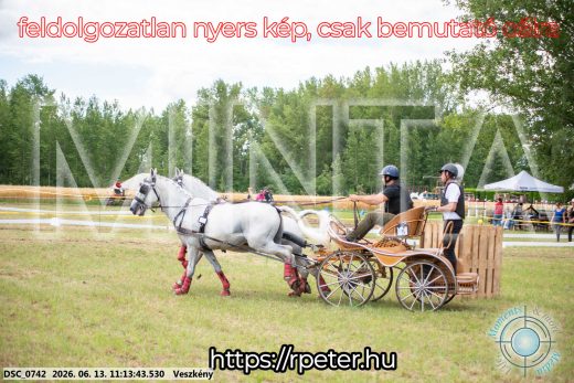 Mintakép 20260613-573
