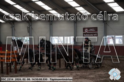 Mintakép 20260208-462