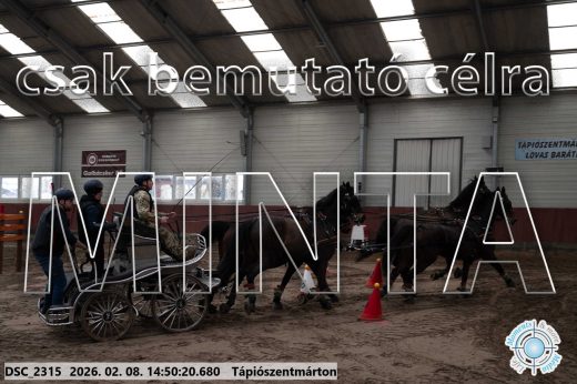 Mintakép 20260208-463