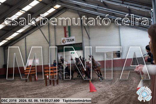 Mintakép 20260208-464