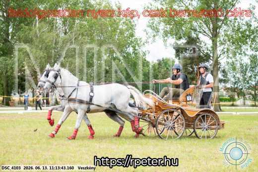 Mintakép 20260613-574