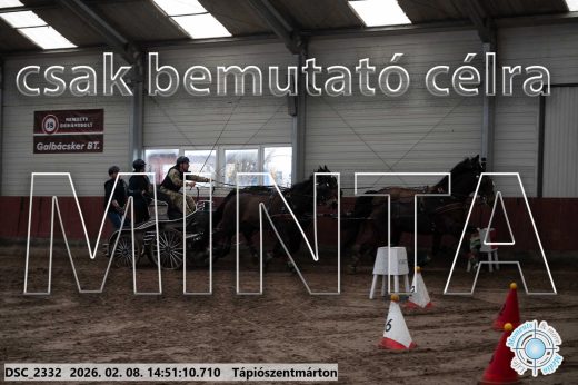 Mintakép 20260208-479