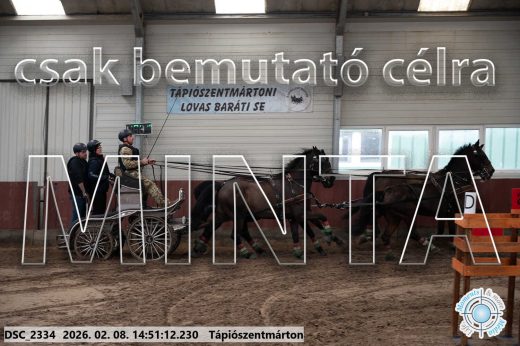 Mintakép 20260208-481