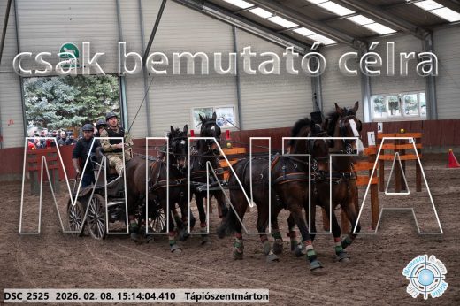 Mintakép 20260208-483