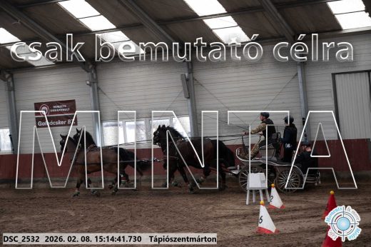 Mintakép 20260208-490