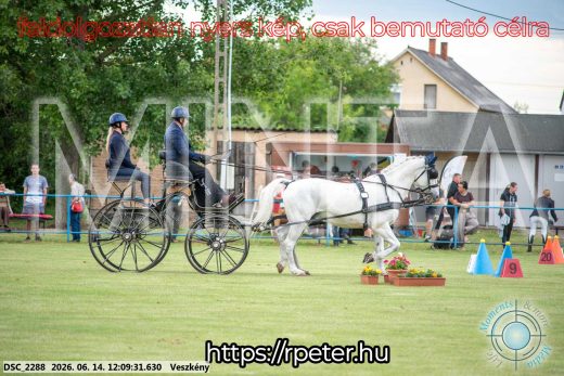 Mintakép 20260614-128
