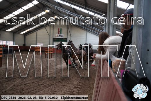 Mintakép 20260208-497