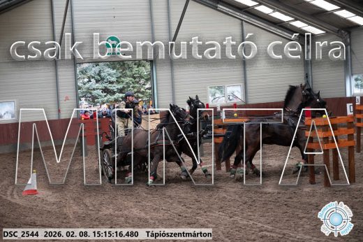 Mintakép 20260208-502