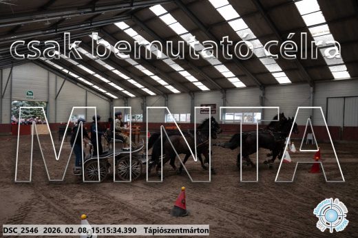 Mintakép 20260208-504