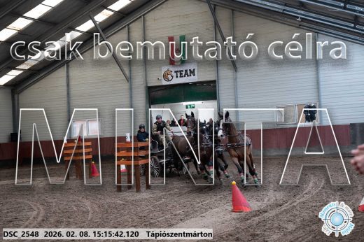 Mintakép 20260208-506