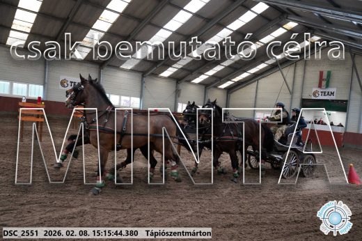 Mintakép 20260208-509