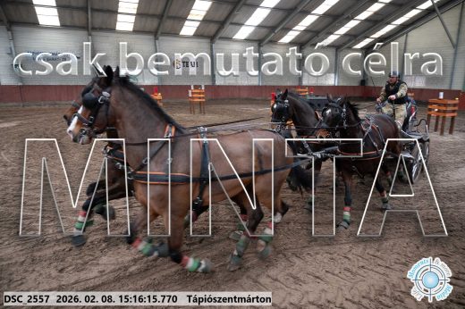 Mintakép 20260208-514