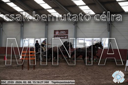 Mintakép 20260208-516