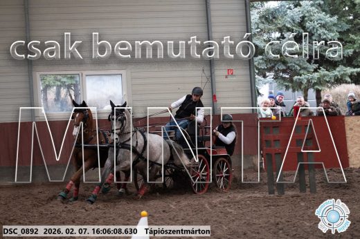 Mintakép 20260207-343