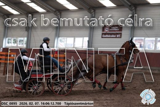Mintakép 20260207-346