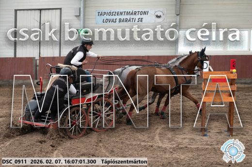 Mintakép 20260207-359