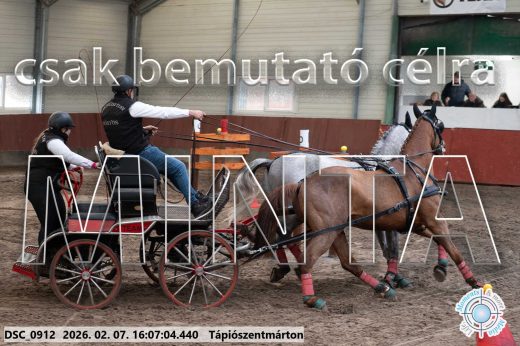 Mintakép 20260207-360