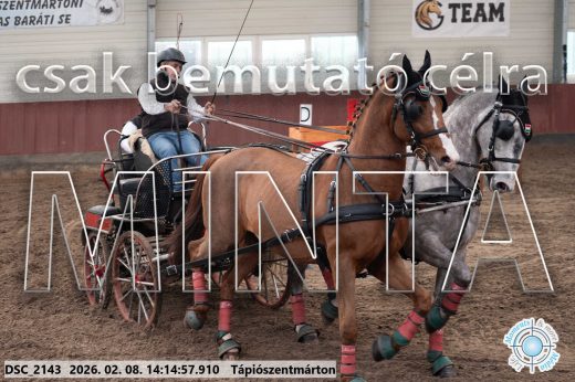 Mintakép 20260208-524