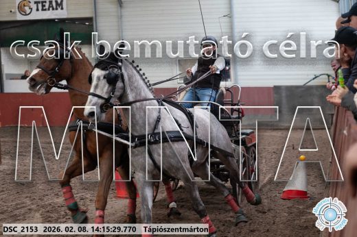Mintakép 20260208-533