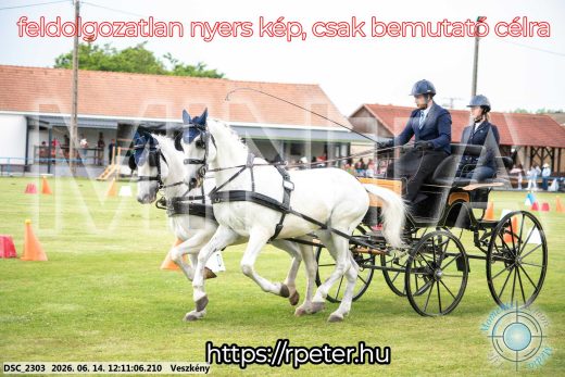 Mintakép 20260614-136