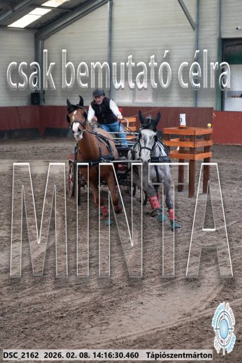 Mintakép 20260208-541