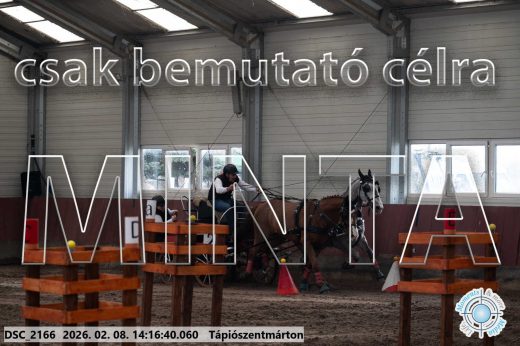 Mintakép 20260208-545