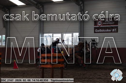 Mintakép 20260208-546